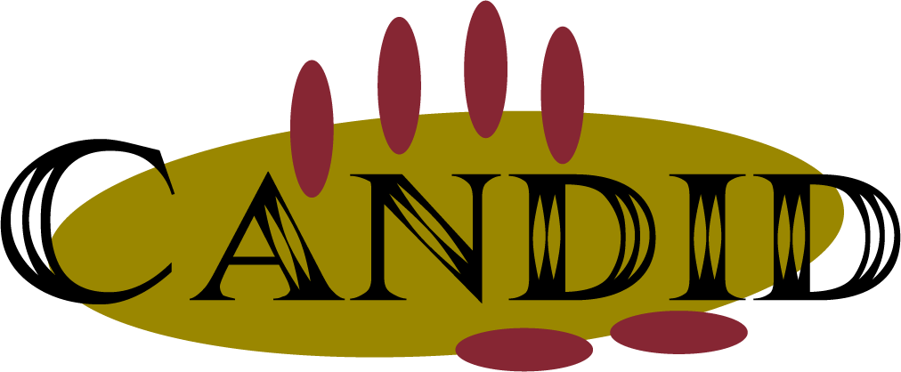 Candid Carpet Cleaning Clipart (1012x418), Png Download