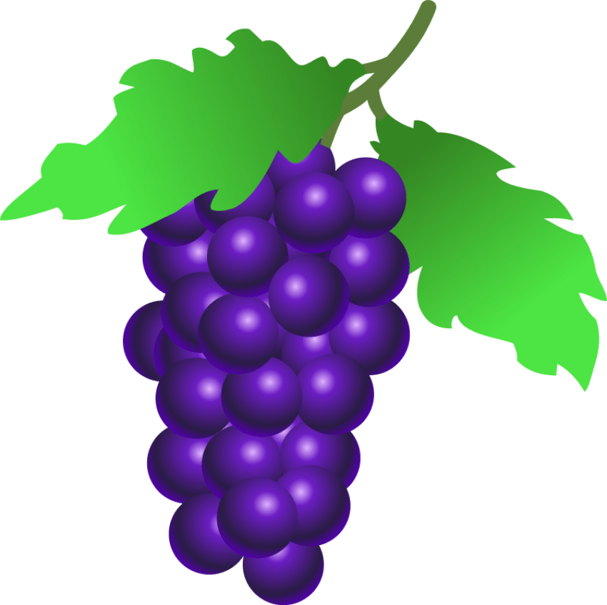 Grape Clipart Purple Food - Grapes Clipart - Png Download (850x848), Png Download