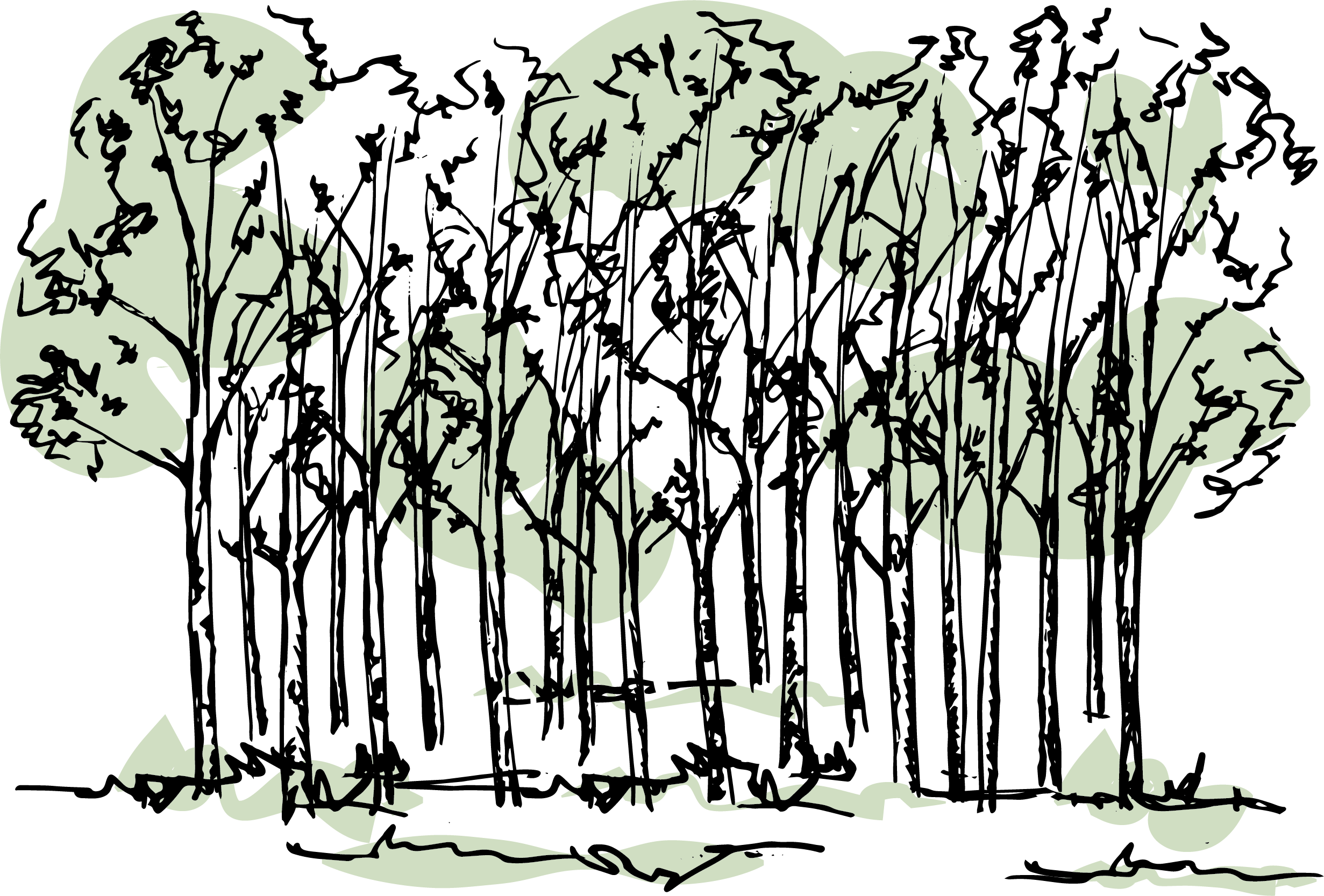 Illustration Clipart (2462x1667), Png Download