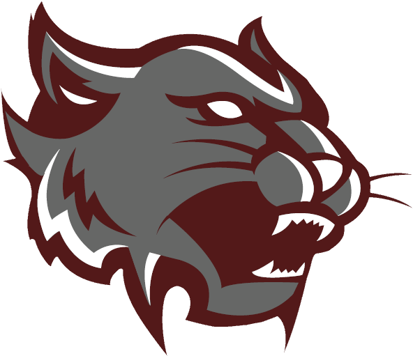 Wildcat - Mt Vernon High School Clipart (613x524), Png Download