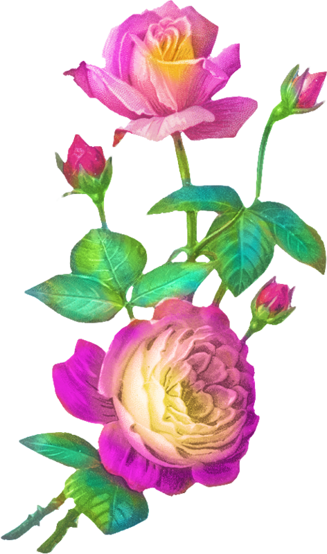 Rosen Vintage Gif Clipart (472x800), Png Download