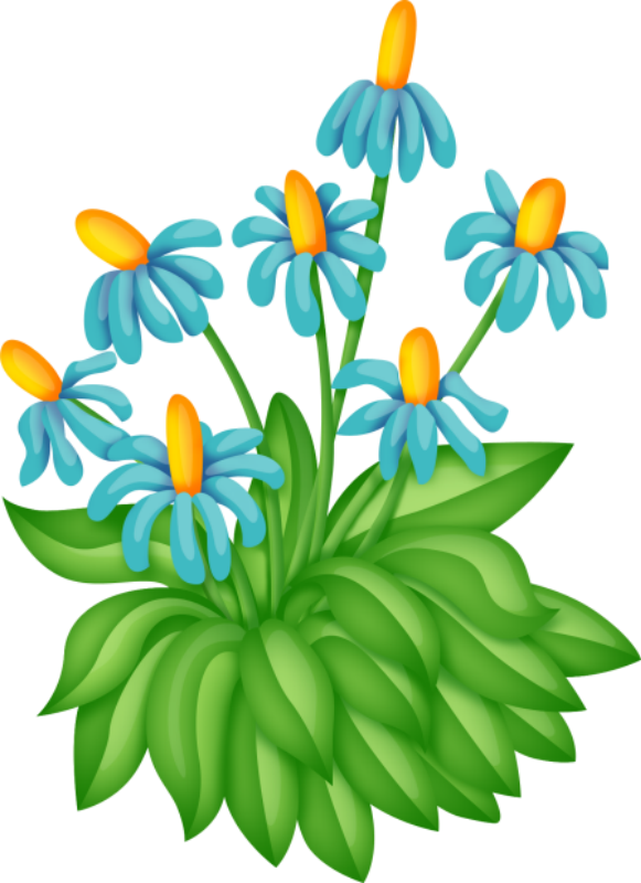Drawing Flowering Bush Clipart Free - Png Download (581x800), Png Download