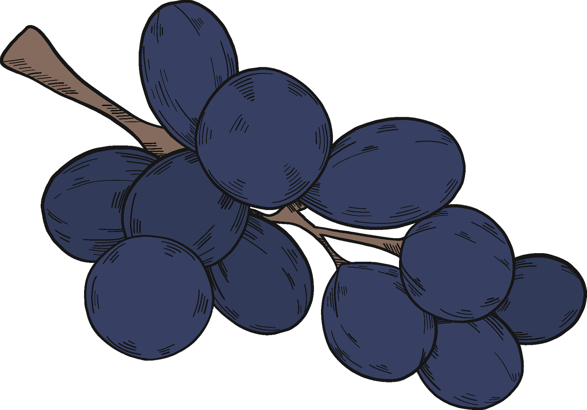 Seedless Fruit Clipart (1920x1341), Png Download