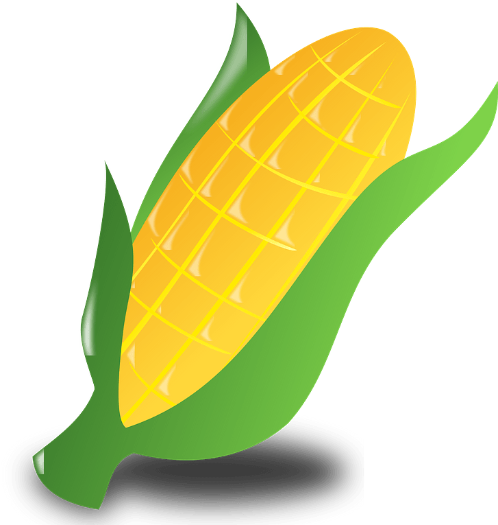 Kwanzaa Icon Clipart - Corn Clip Art - Png Download (732x800), Png Download