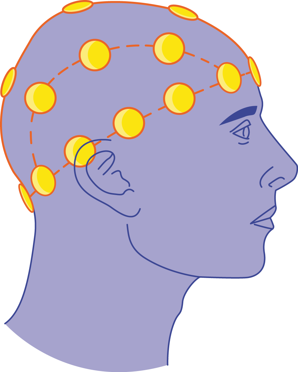 Electroencephalogram Clipart Png Download Full Size Clipart