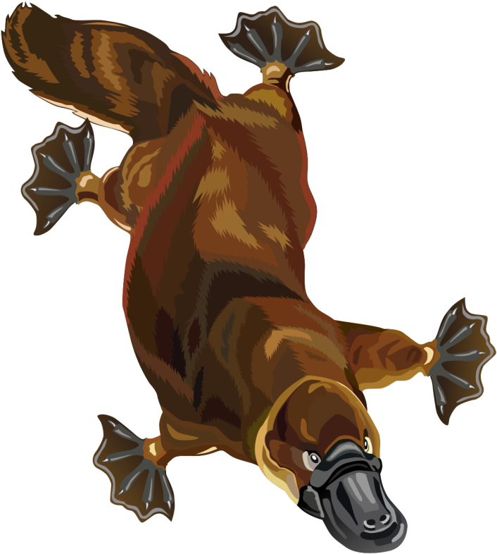 Free To Use Amp Public Domain Small Mammals Clip Art - Clip Art - Png Download (830x897), Png Download