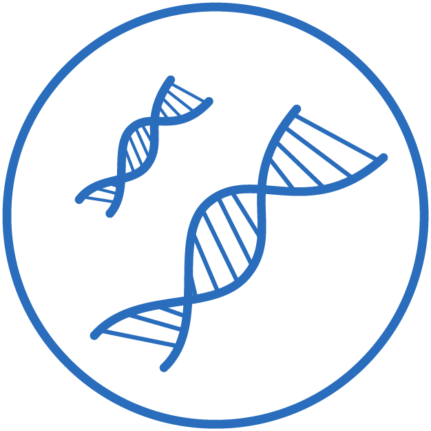 Clip Art - Png Download (626x626), Png Download