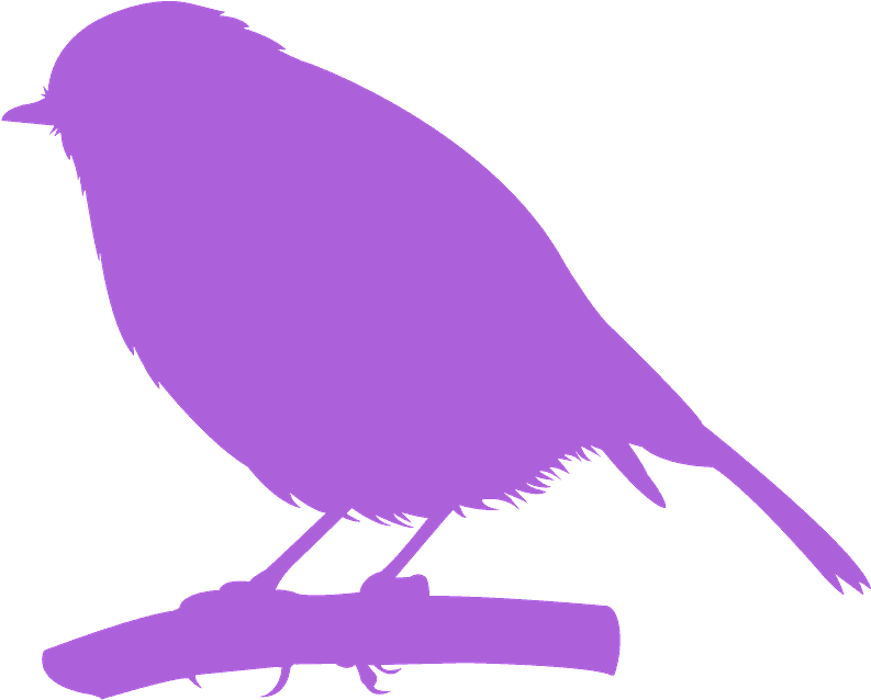 Perching Bird Clipart (800x640), Png Download