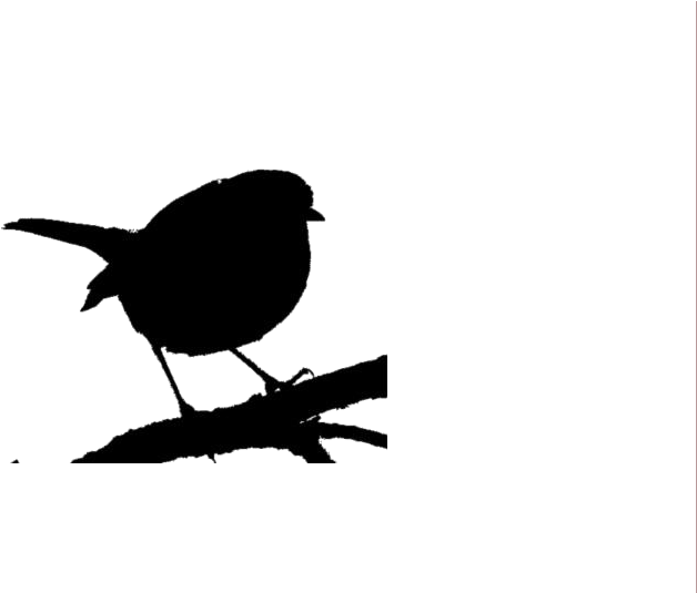 Transparent Robin Bird Clipart - Portable Network Graphics - Png Download (628x535), Png Download