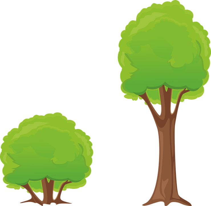 Tree Bush Clipart - Tree And Shrub Clipart - Png Download (740x720), Png Download