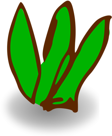 Small Bush Clipart - Clip Art Small Bush - Png Download (958x958), Png Download