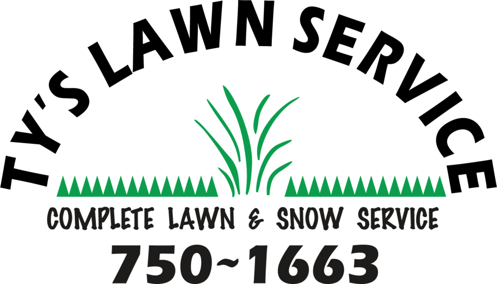 2016-ty001 - Illustration Clipart (1000x572), Png Download