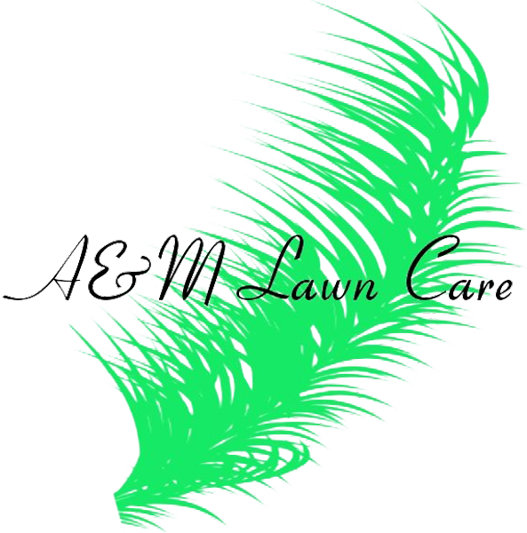 A&m Lawn Care - Illustration Clipart (593x600), Png Download