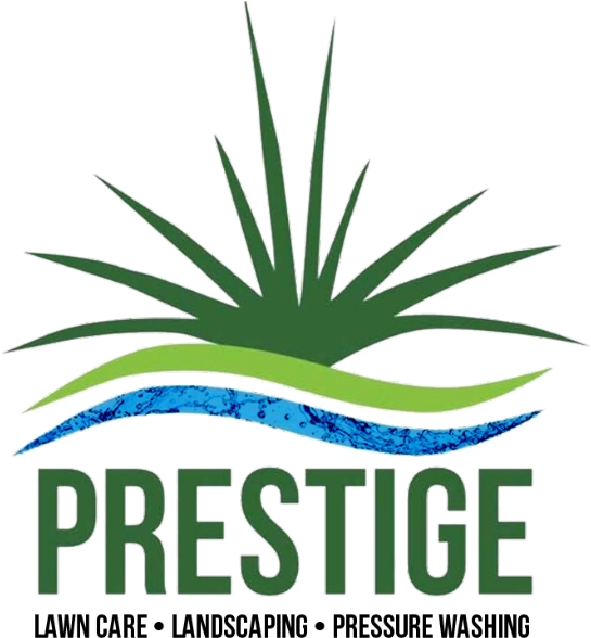 Prestige Lawn Care & Landscaping - Agave Clipart (600x600), Png Download