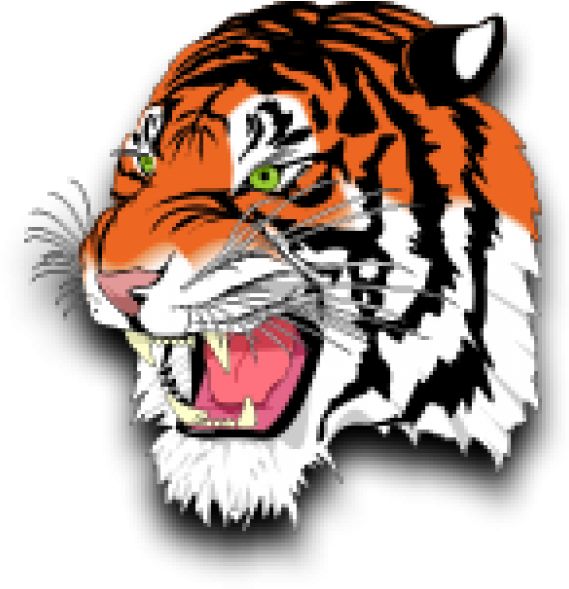 Tiger Reading A Book Clipart Clip Library Stock Description - Lynn Tech Tigers - Png Download (800x600), Png Download