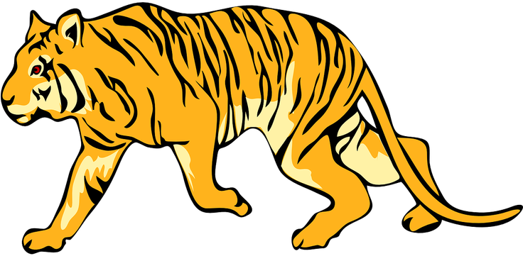 Tiger Clipart Transparent Background - Png Download (735x440), Png Download