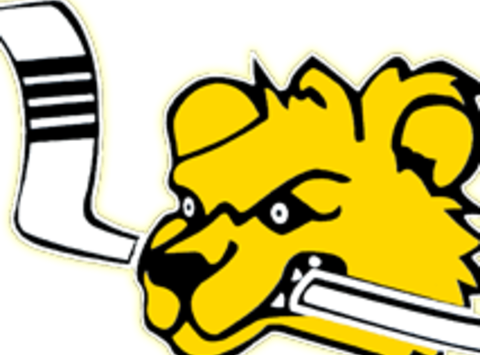 Brewins Youth Hockey Clipart (480x355), Png Download