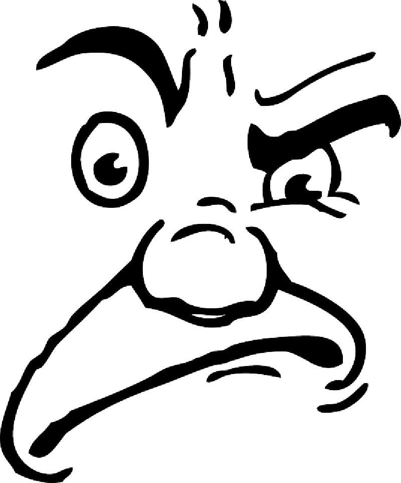 Mad Face Human Angry Face Clip Art Extravital Fasion - Angry Face Cartoon Transparent - Png Download (800x962), Png Download