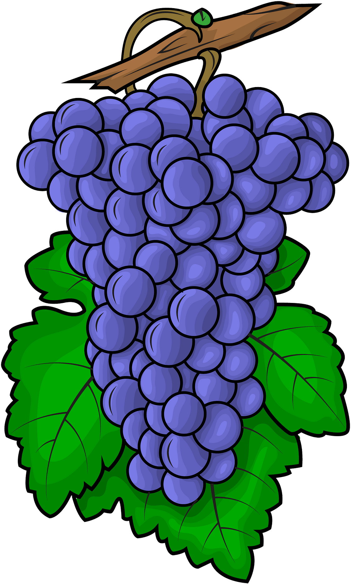 Grape Clipart (1485x1920), Png Download