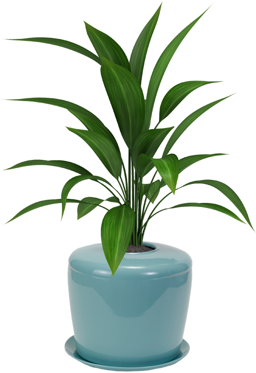 Bonsai Urn Ceramic Cremation Urn For A Bonsai Tree Clipart (500x728), Png Download