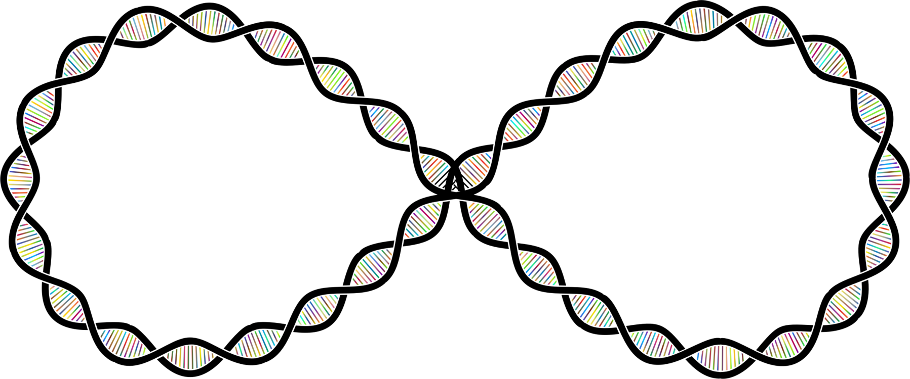 Infinity Clipart Wedding Invitation - Cold Spring Harbor Meetings - Png Download (1797x750), Png Download