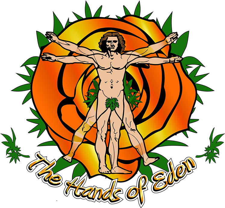 Illustration Clipart (800x800), Png Download