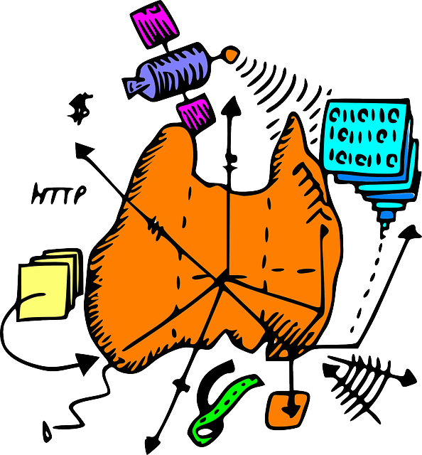 Country, Digital, Geography, Australia, Map, Cartoon - Png Geography Cartoon Clipart (594x640), Png Download