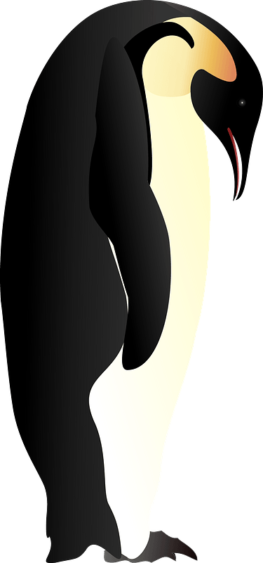 Penguin Looking Down Clipart - Cartoon - Png Download (375x800), Png Download