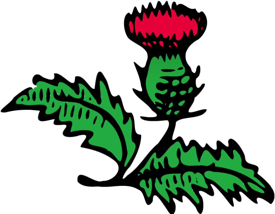 Clip Art - Png Download (974x720), Png Download