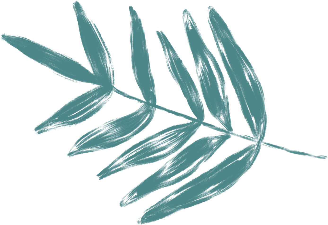 Weeds Drawing Design Transparent Png Clipart Free Download - Sketch (1536x1024), Png Download