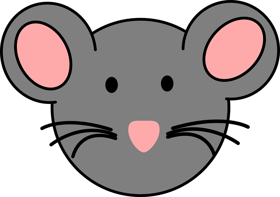 Mammal Clipart Animal Heads - Mouse Clipart Face - Png Download (960x677), Png Download