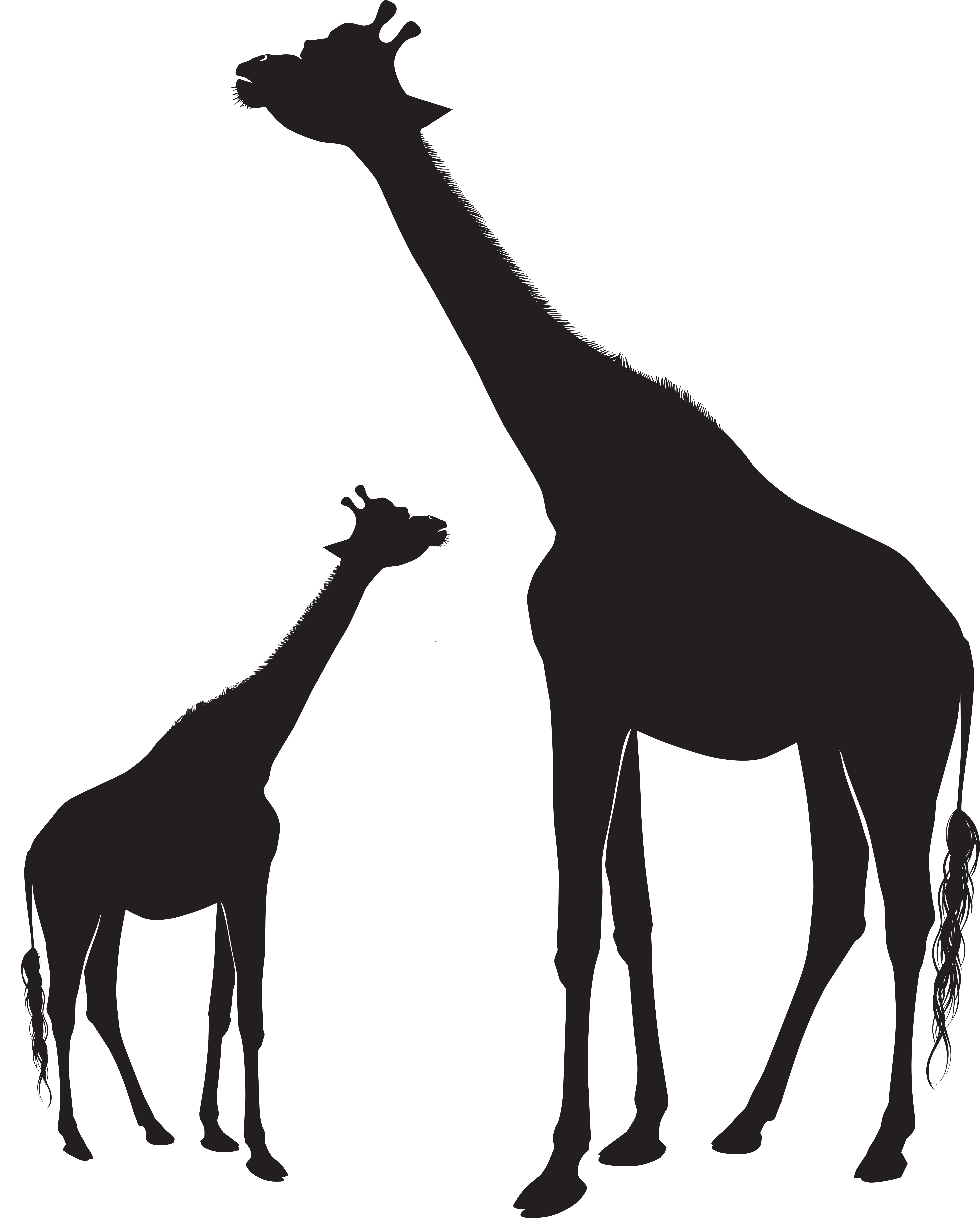 Giraffe Silhouette Animal Mammal Horse Clipart (6495x8000), Png Download