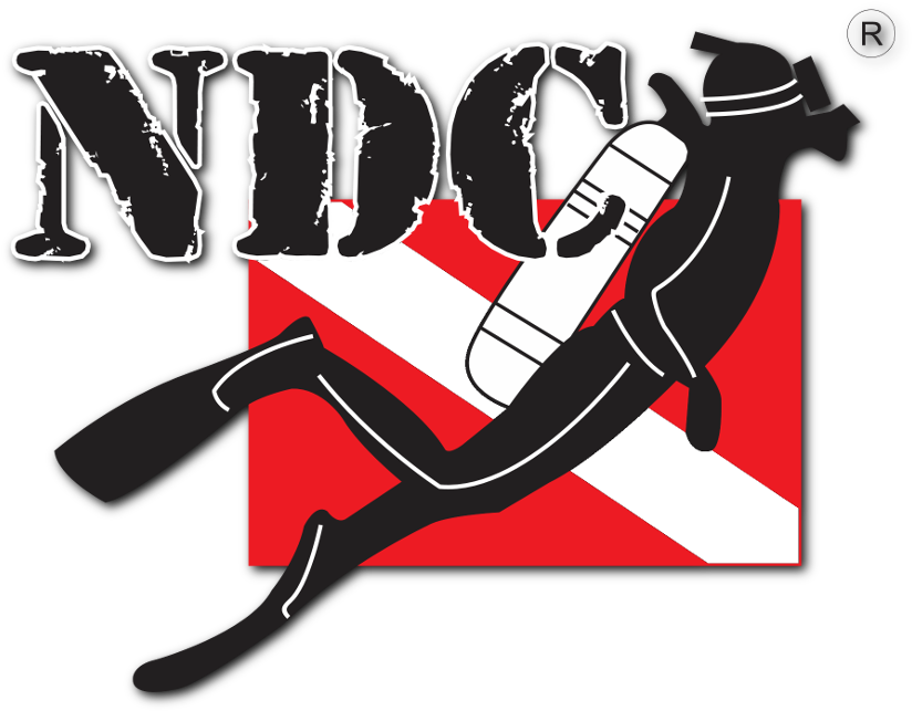 Illustration Clipart (1142x781), Png Download