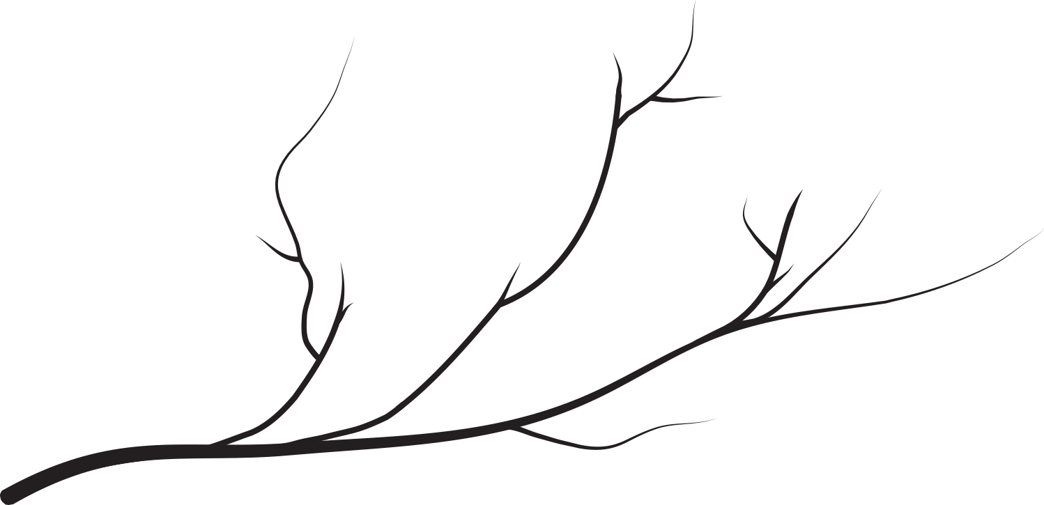 Wedding Photographer - Line Art Clipart (1498x725), Png Download