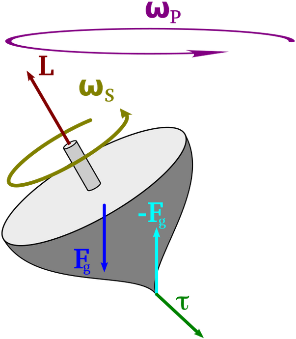 Precession Motion Clipart (640x747), Png Download