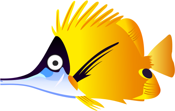 Colorful Tropical Fish - Coral Fish Clipart - Png Download (600x600), Png Download