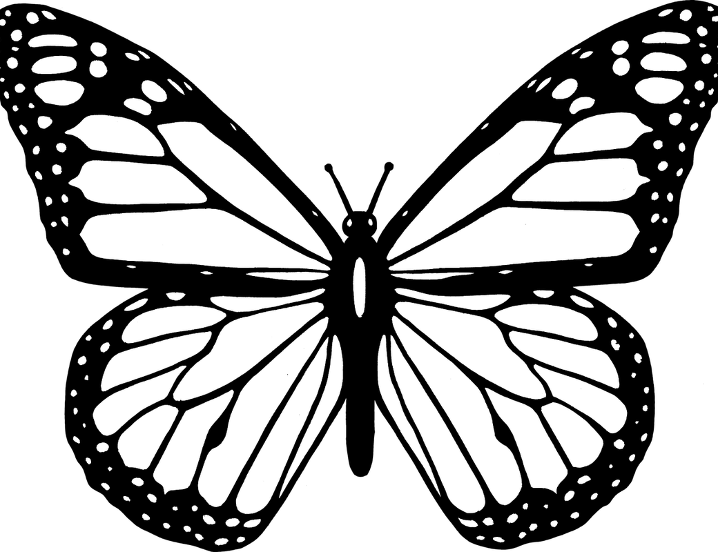 Beautiful Butterfly Clipart Black And White - Monarch Butterfly Coloring Pages - Png Download (1040x800), Png Download