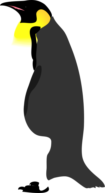 Gentoo Penguin Clip Art - Png Download (437x800), Png Download