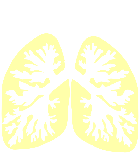 Illustration Clipart (540x596), Png Download