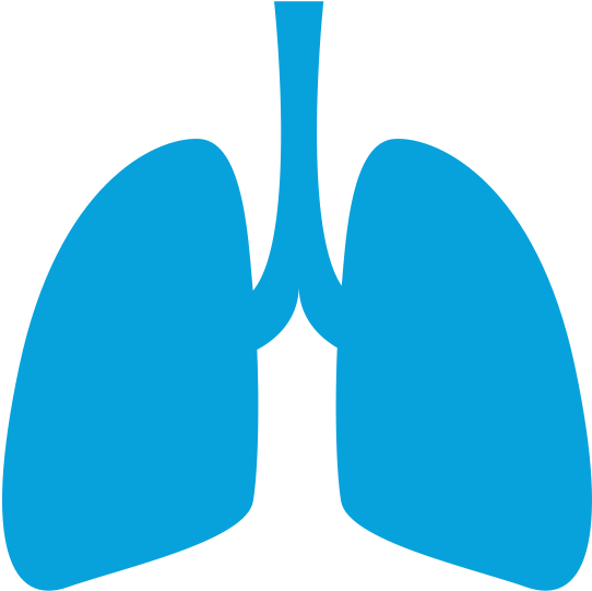 Clip Art - Png Download (609x586), Png Download