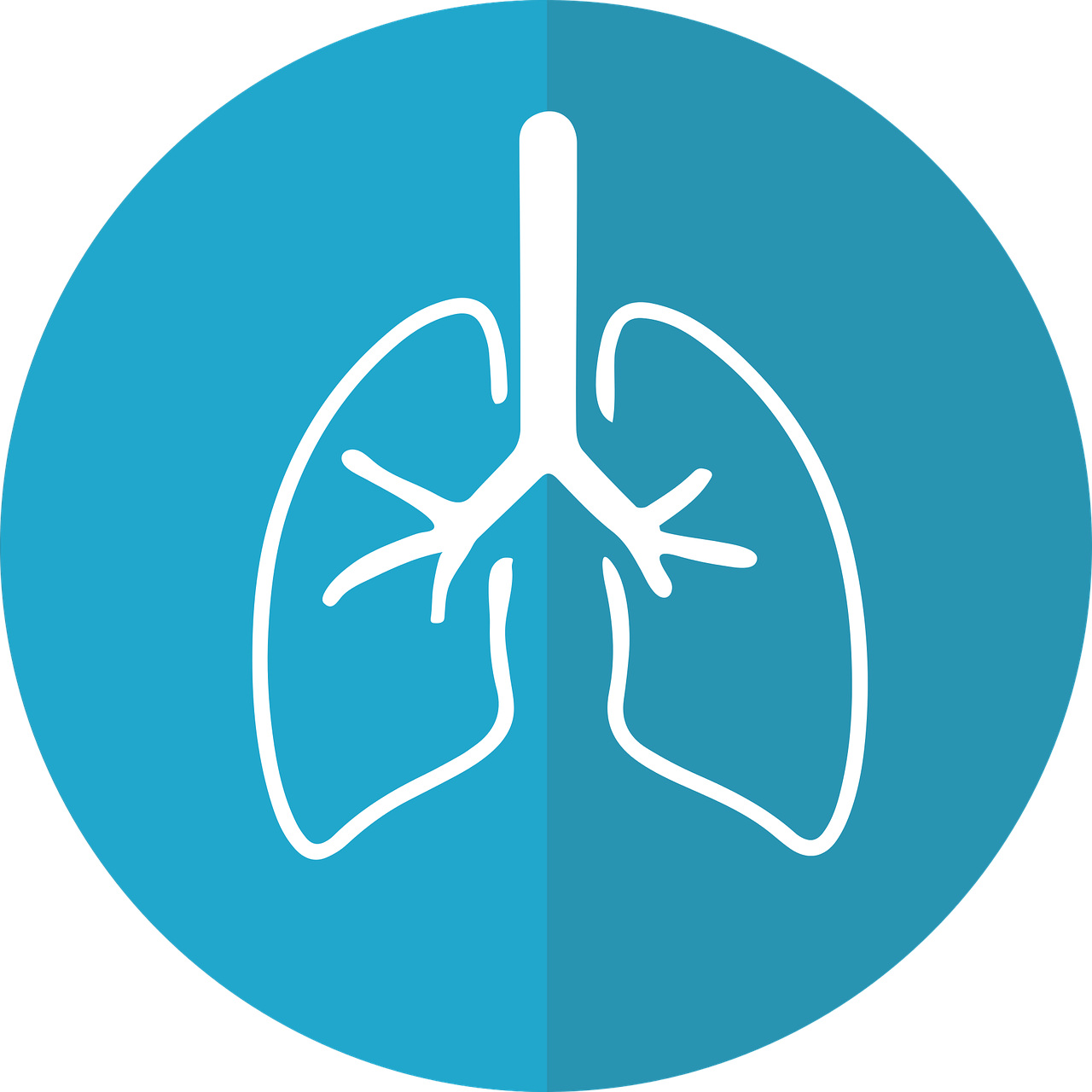 Transparent Nursing Diagnosis Clipart - Lung Graphic - Png Download (1280x1280), Png Download