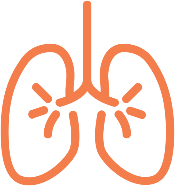 Png Medicine Icons In Flutter Clipart (564x600), Png Download