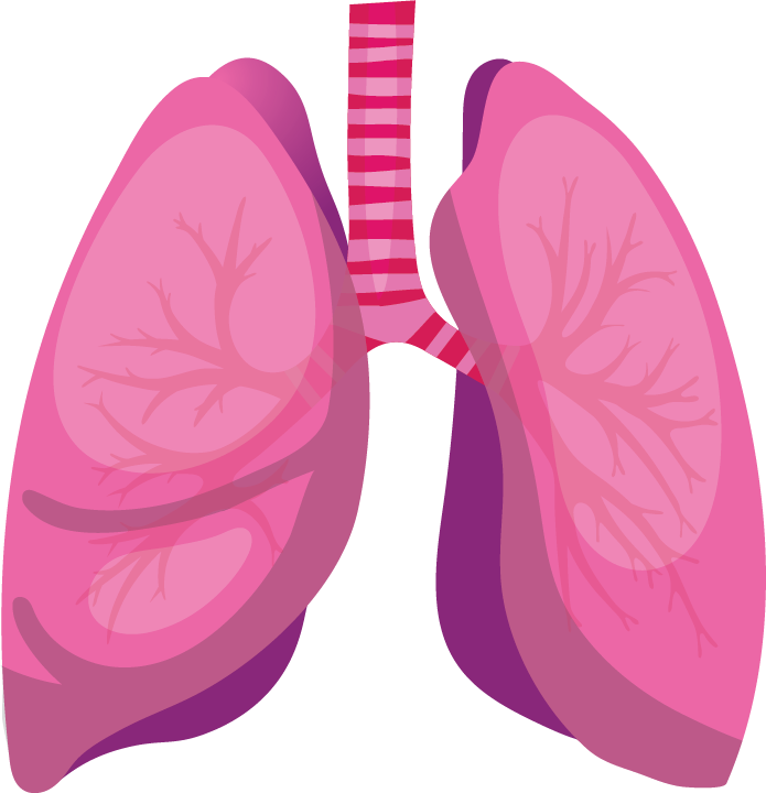 Clip Art - Png Download (695x720), Png Download