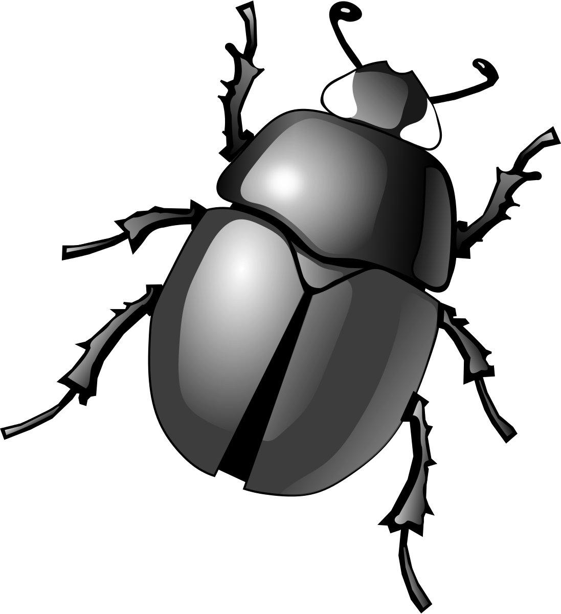 Beetle Transparent Clipart - Beetle Clipart - Png Download (1097x1200), Png Download