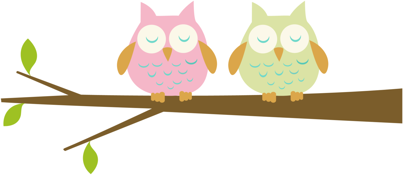 Baby Owl Clipart - Png Download (1682x730), Png Download