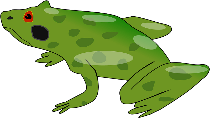 Frog Clipart - Clip Art - Png Download (800x448), Png Download