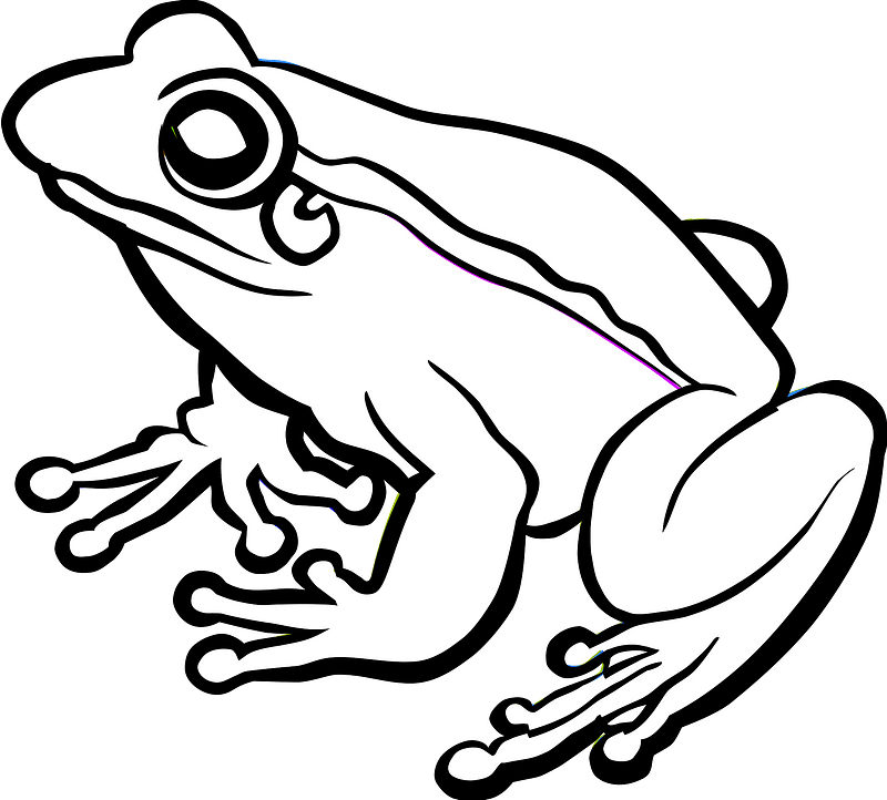 Frog Clipart - Black And White Clip Art Frogs - Png Download (800x722), Png Download