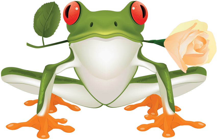 Free Png Frog Png Images Transparent - Poison Dart Frog Clipart (850x548), Png Download