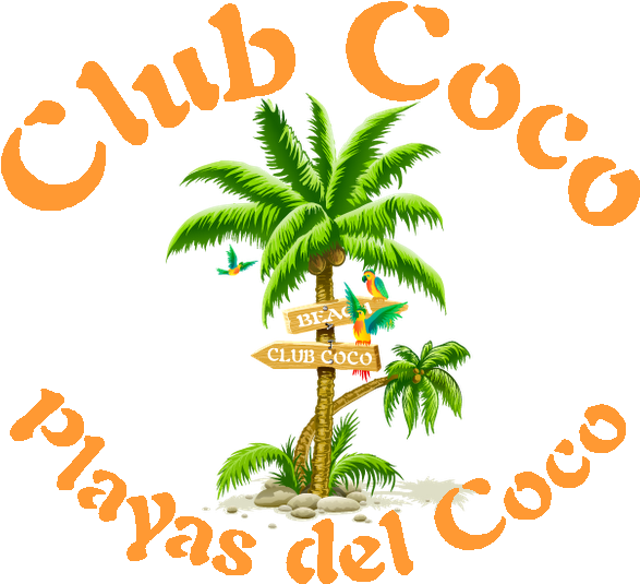 Coconut Tree Png Clipart , Png Download Transparent Png (587x535), Png Download