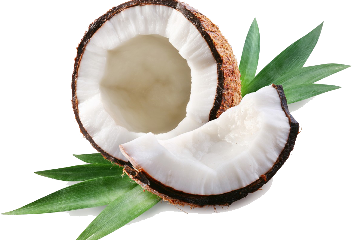 Coconut Clipart Transparent Tumblr - Coconut Png (1174x801), Png Download